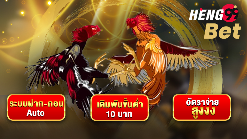 ดูไก่ชนสด - "Watch live cockfighting"