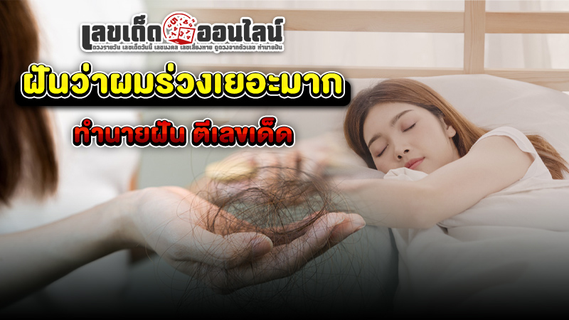 รูปภาพทำนายฝันตีเลขเด็ดฝันว่าผมร่วงของ lekdedonline